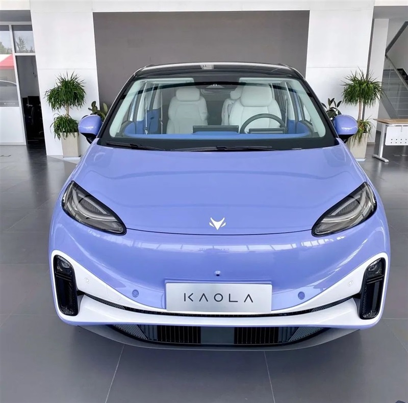 【17c.com新能源（yuán）探店第7期】帶娃神器——極狐考拉#10489