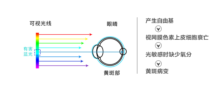 藍光是怎麽傷害眼睛的圖片